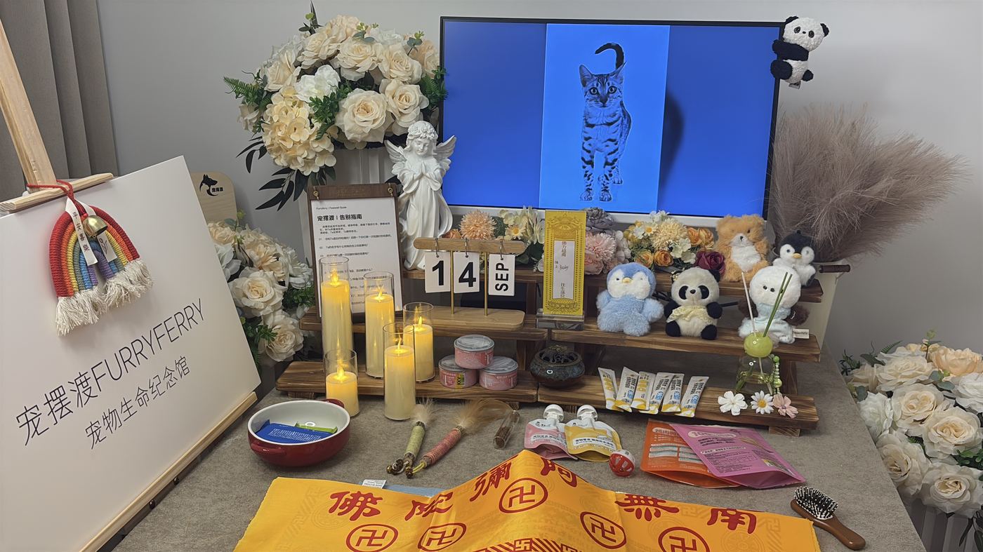 西安宠物火化多少钱？长安火化收费全解析