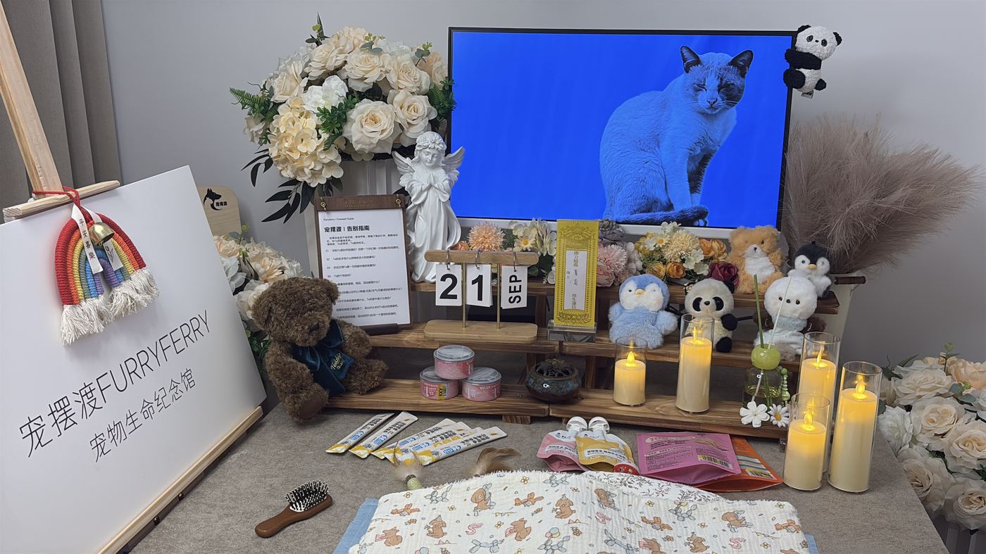 如何面对宠物离世的悲伤？写给西安养宠人的心理支持