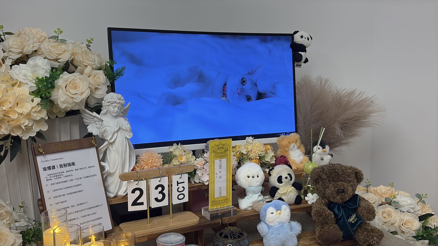 如何决定